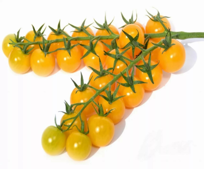 Помидоры черри на ветки желтые 1кг
