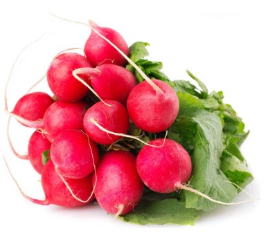 Редис Краснодар 1кг