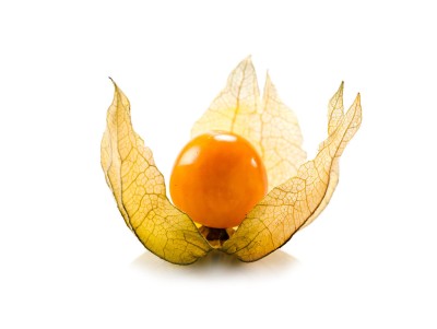 Физалис 1шт