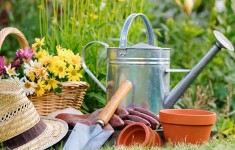 Сад и Огород