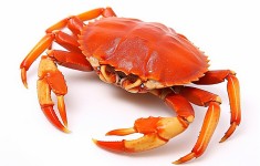 Краб