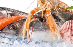 Замороженная рыба/морепродукты